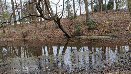 Kimbrough Park - Thumbnail