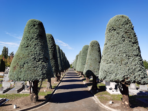 Cimetière de Bourg-en-Bresse - Thumbnail