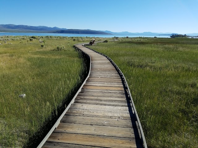 Mono Lake Tufa Reserve