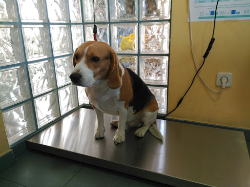 Centro Veterinario Las Navas