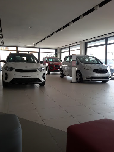 Reali Auto - Visual