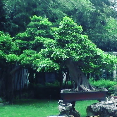 Photos of Lou Lim Ieoc Garden