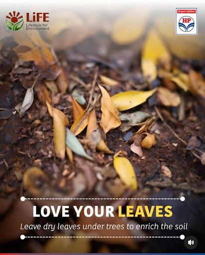 Let’s love our leaves – leave dry leaves under trees to enrich the soil and nurture a greener tom… post image