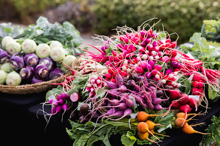 Babé Farms 1205 W Craig Dr, Santa Maria, CA 93458, United States