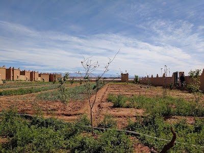 Photos of maison d'hote ecolodge l'ile de ouarzazate