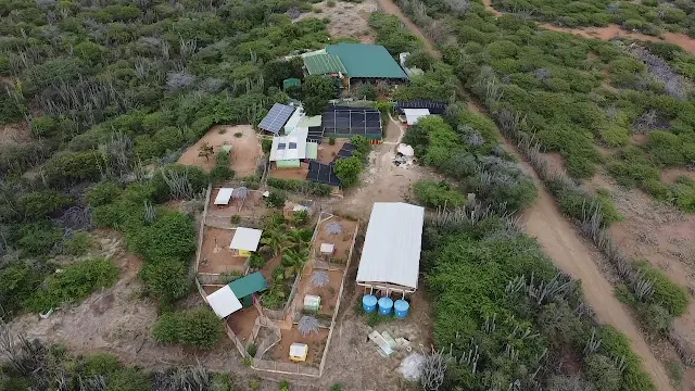 Jellastone Pet Park