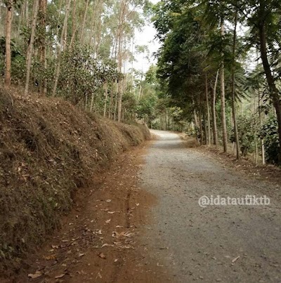 Photos of Gunung Bukit Tunggul