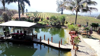 Photos of Aythaya Wine