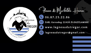 Photo n°17 de L'agneau du Tregor, Ferme de la Bretonnie du Roscoat , lieu dit Kervadeg à Plouzélambre (Producteur de bétail)