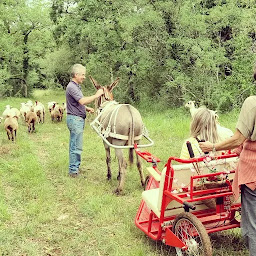 Photo n°15 de Les balades accompagnées du Domaine de Mons à Assier (Circuit de randonnée)