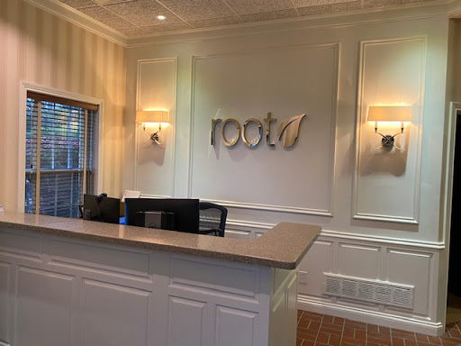 Root Advisors - Visual