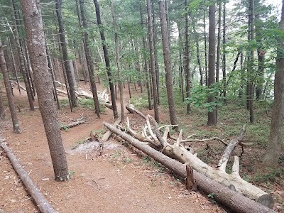 Photos of Nickerson State Park