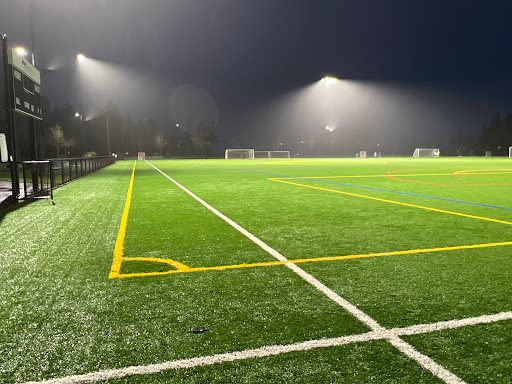 Central Park Fields - Visual