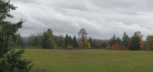Toledo High School - Thumbnail