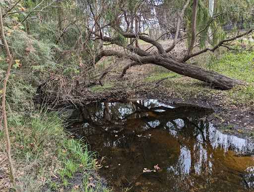 Gabbiljee Reserve - Thumbnail