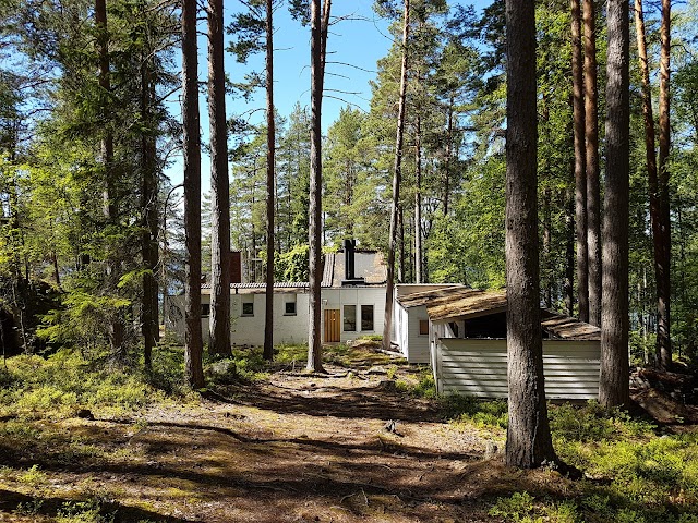 Alvar Aalto Experimental