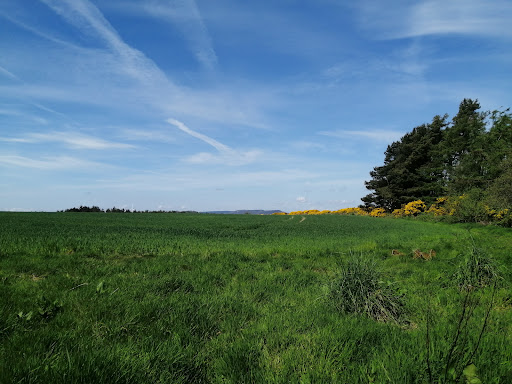 Forget Me Not Country Park - Thumbnail