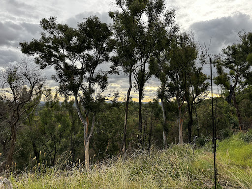 Top Moffatt (Mount Moffatt section) camping area Logo