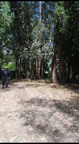 Agroreyes - Pelarco