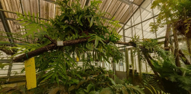Universiteit Gent - Plantentuin