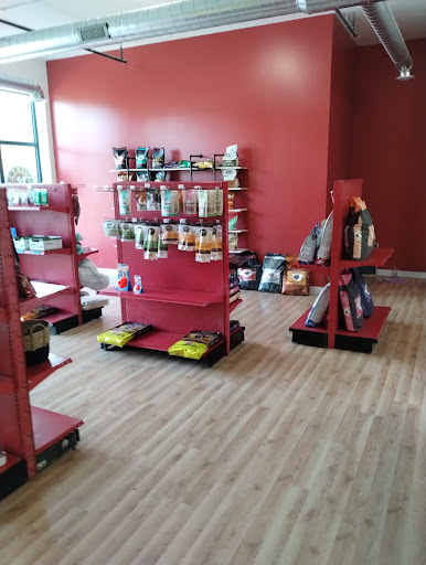 Lucky's Pet Store - Visual