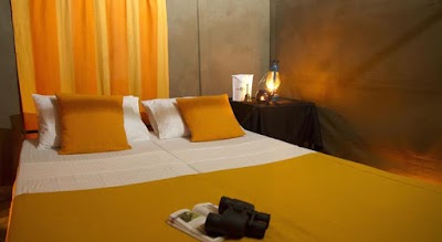Photos of Mahoora Tented Safari Camp - Sinharaja
