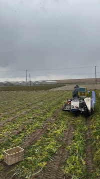 はらぺこ畑杉正農園