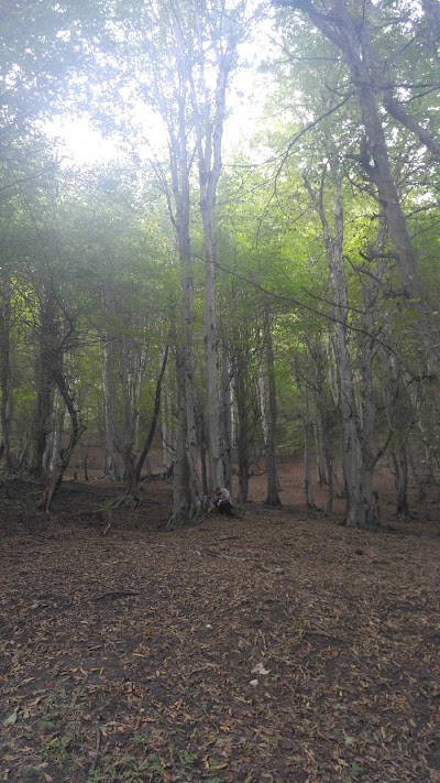 Photos of Vilakadeh