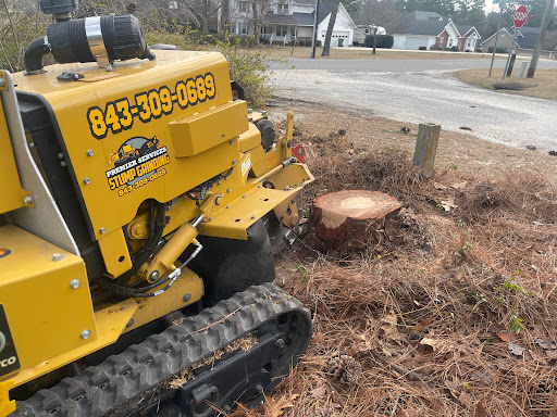 Premier Services Tree & Stump removal
