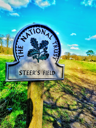 Steers Field - Visual