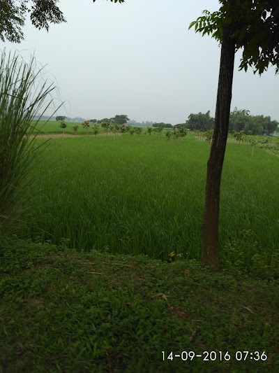 Photos of Buniadangi
