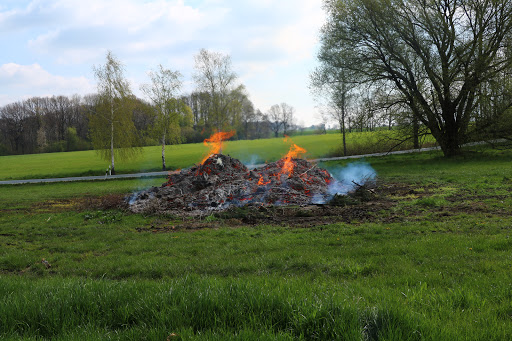 alter Baum