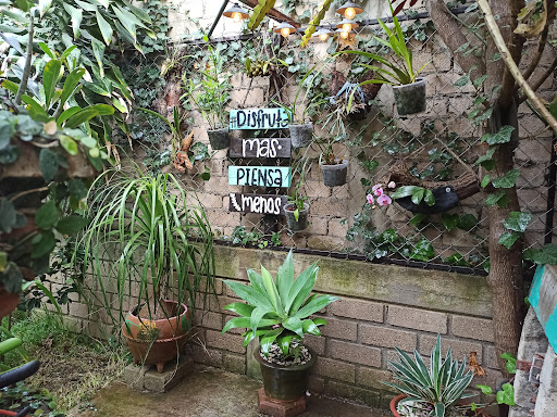 El jardín de las Orquídeas - Thumbnail