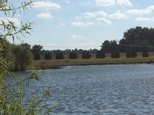 Lake Forest Central Elementary - Visual