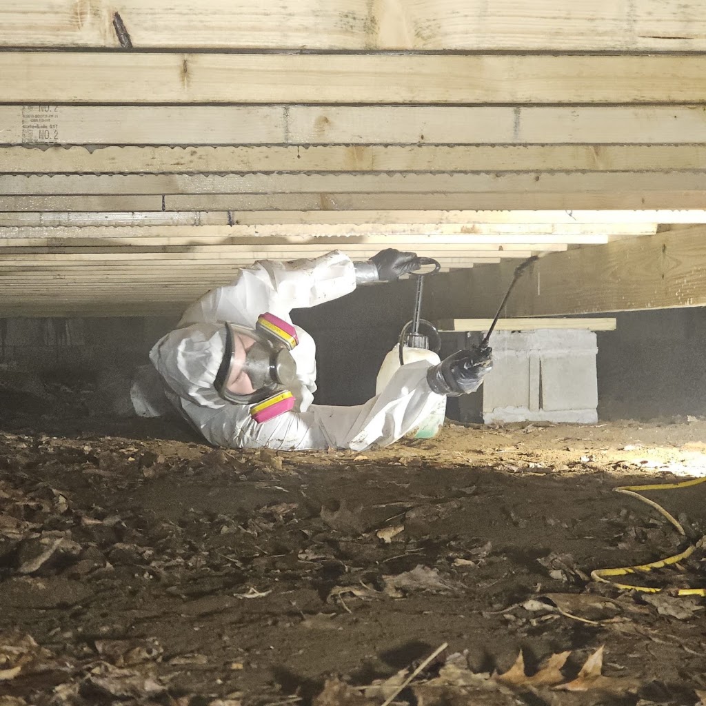 All Dry Services of East Tennessee photo