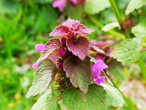 Kavelberg - Visual