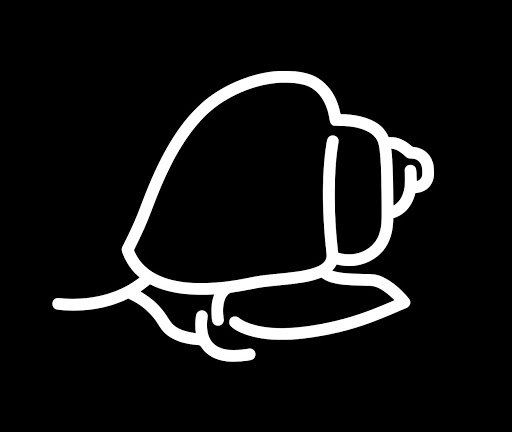RC SNAILS - Visual