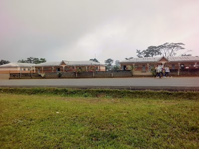 lodging
