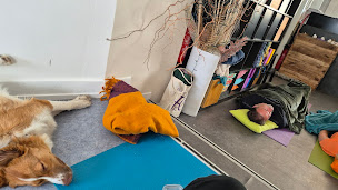 Photo n°6 de Fanny Faidherbe Yoga, Énergétique & Bien-Être à Cambrai (Professeur de yoga)