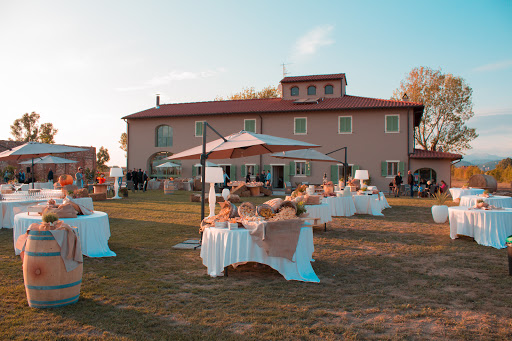 Fattoria L'Olmetto - Thumbnail