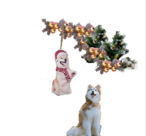 GIFT-HOUND - Visual