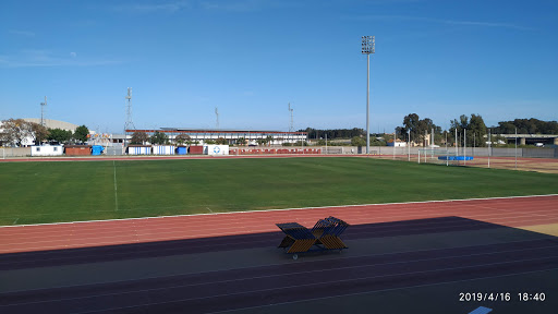 Municipal Sports - Thumbnail