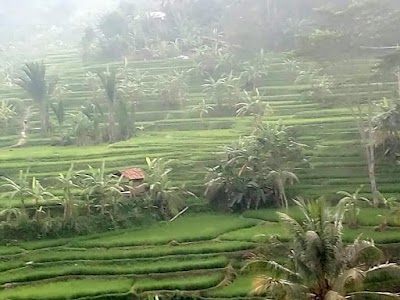 Photos of Puskesmas Tanjung Beringin
