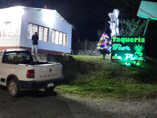 Taqueria Flor de Piña Gallery - Mexico