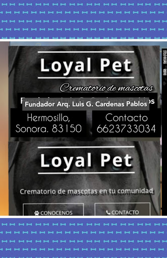 Loyal Pet - Visual
