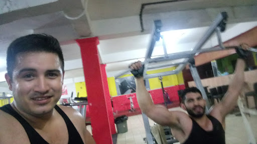 Alphagym - Visual