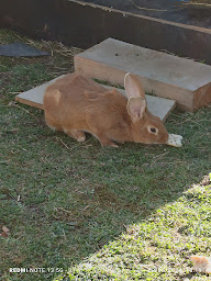 Photo n°11 de Yourte chez Olivier et Julie à Argentonnay (Gîte)