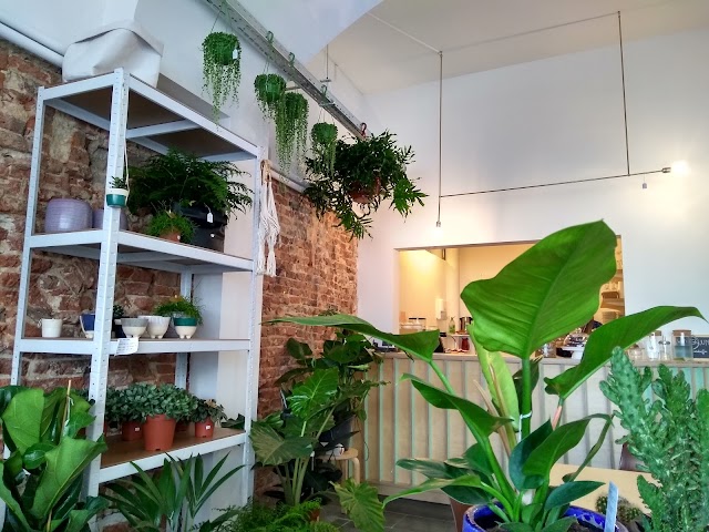 GRUUN | Landscape design & plants