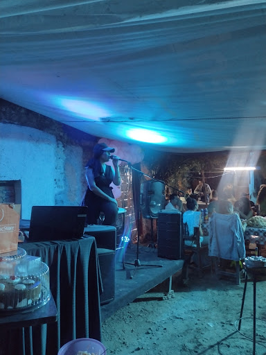 Flor Vozfiesta - Visual