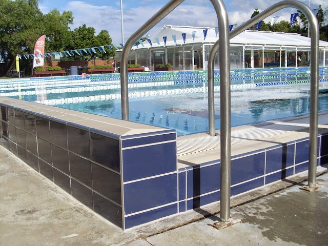 Swim Fit Cotton Tree